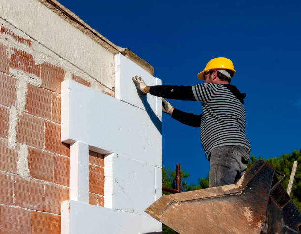 Best Commercial Insulation in Camdenton, MO