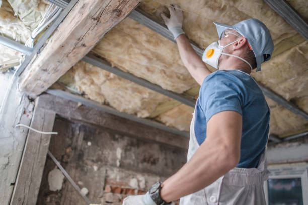Types of Insulation We Offer in Camdenton, MO