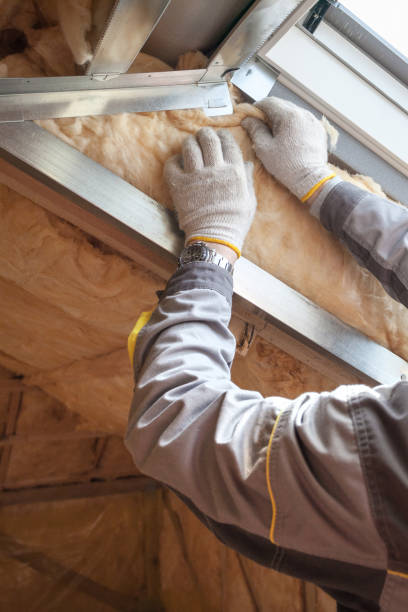 Best Insulation Maintenance and Repair in Camdenton, MO