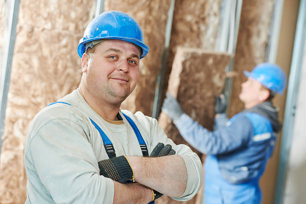 Best Eco-Friendly Insulation in Camdenton, MO